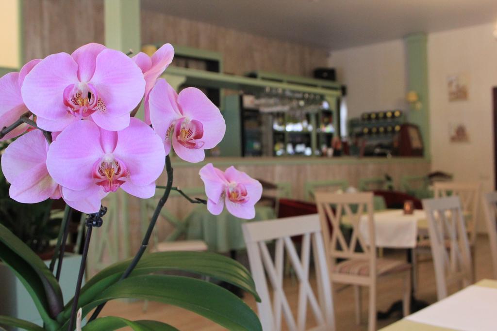 Seasons Spa Boutique Hotel Kozyn Dış mekan fotoğraf